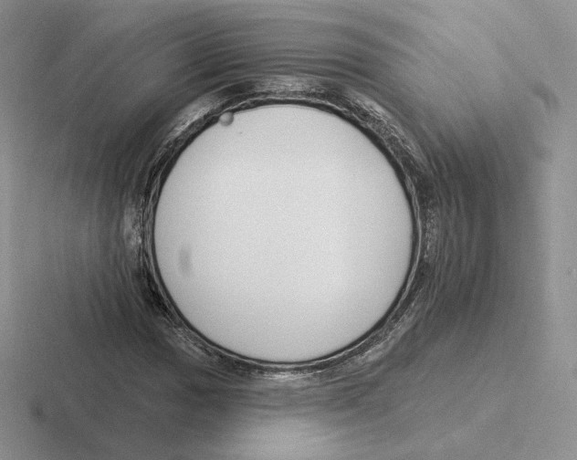 X0000116451017201001051220