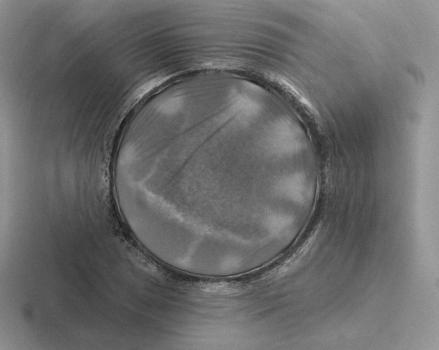 X0000116451025201001051220