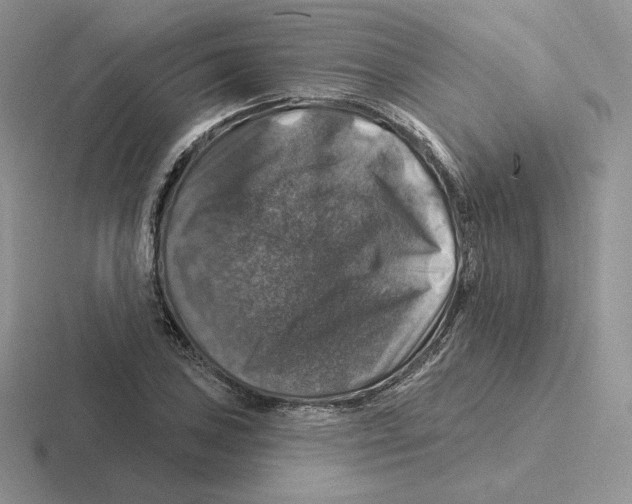 X0000116451027201001051220