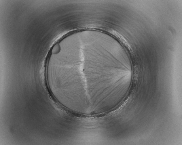 X0000116451031201001051220