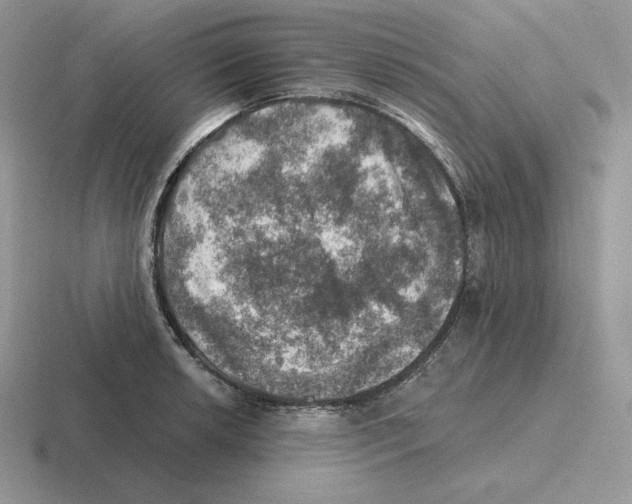 X0000116451042201001051220
