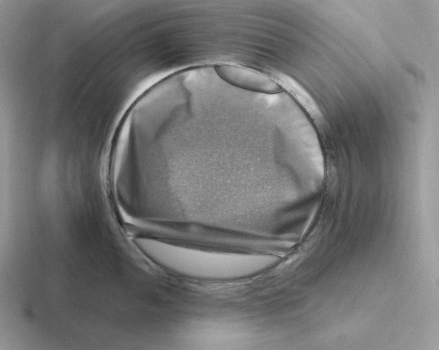 X0000116451052201001051220