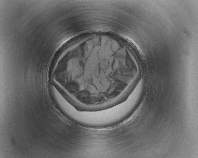 X0000116451065201001051220