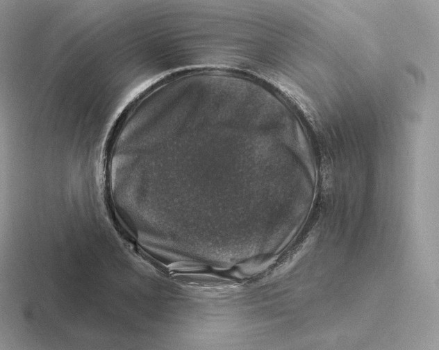 X0000116451077201001051220