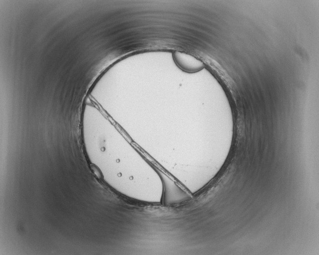 X0000116451089201001051219