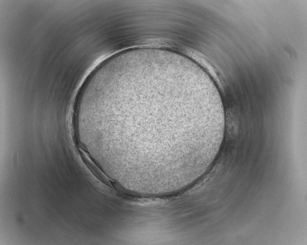 X0000116451091201001051219