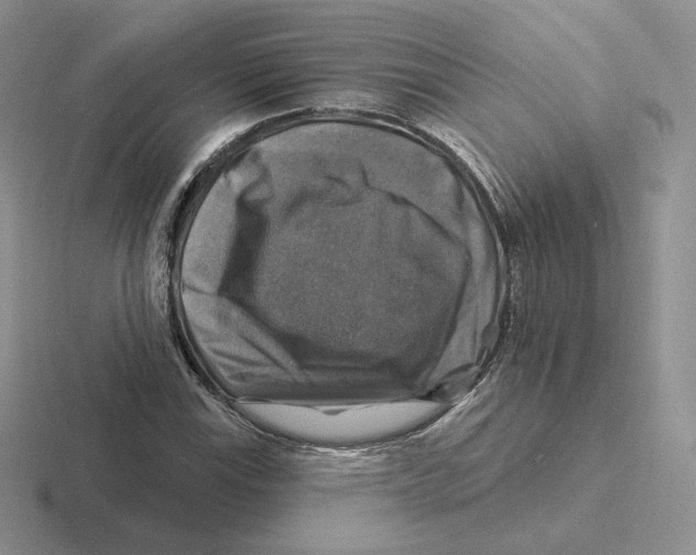 X0000116451115201001051219