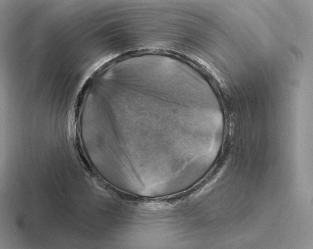 X0000116451117201001051219