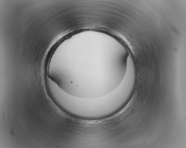 X0000116451122201001051219