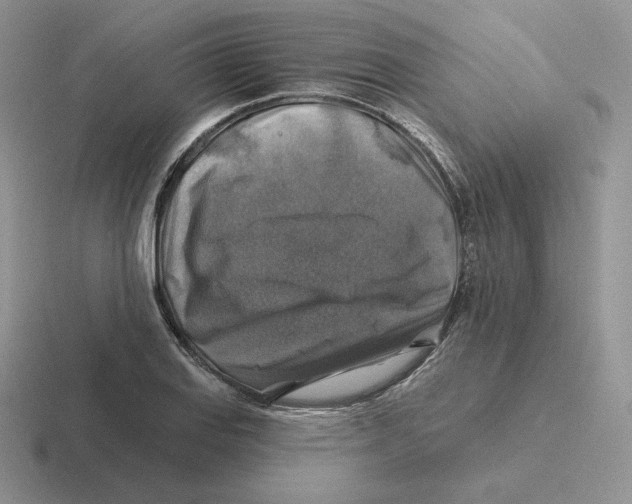 X0000116451127201001051219