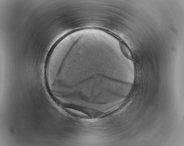 X0000116451134201001051219