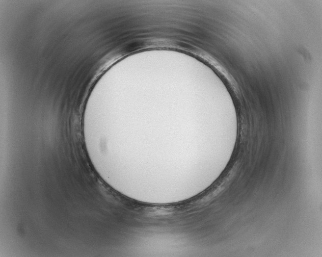 X0000116451145201001051219