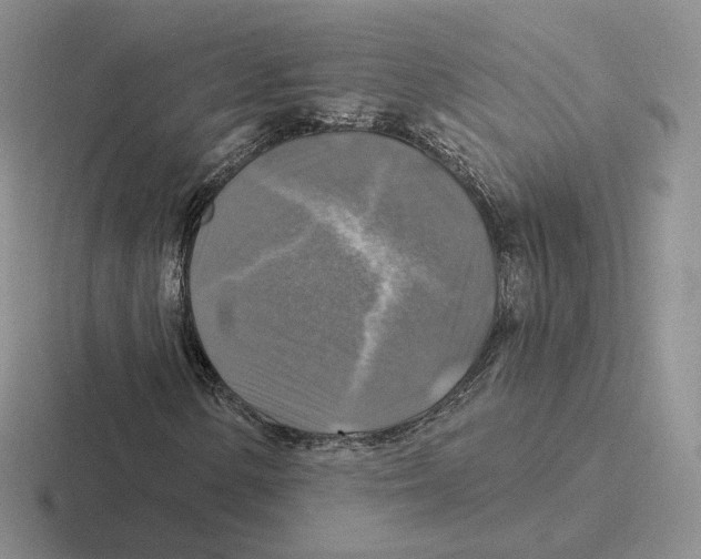 X0000116451154201001051219