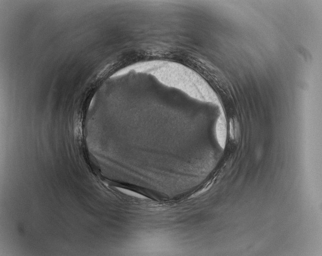 X0000116451155201001051219