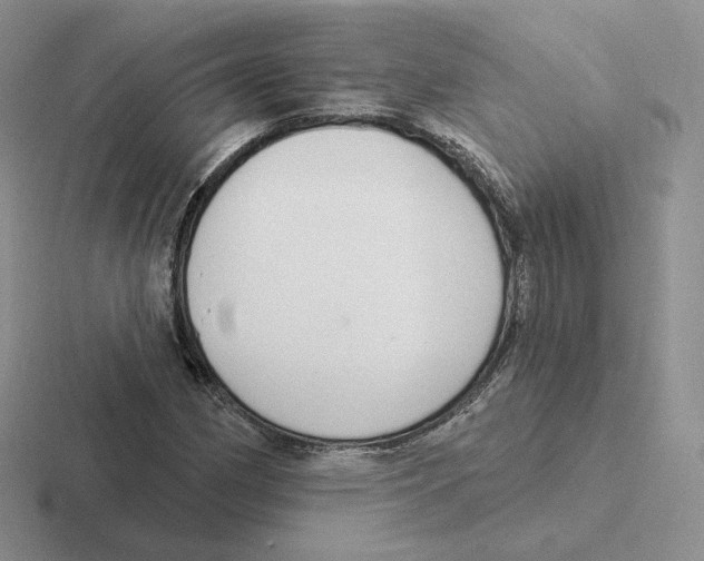 X0000116451162201001051219