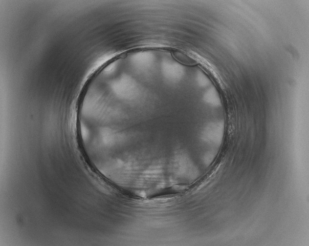 X0000116451179201001051218