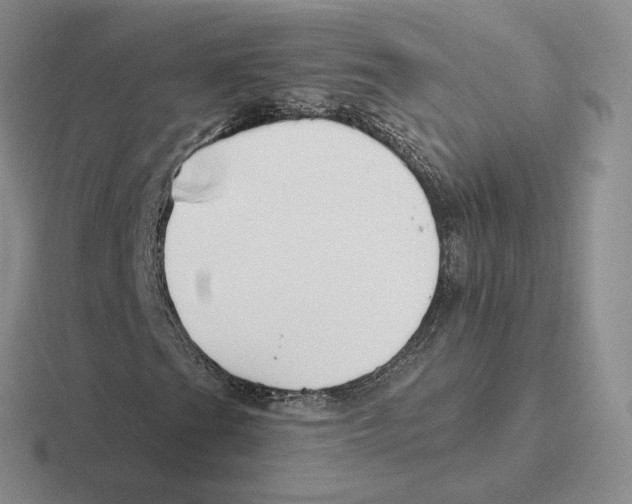 X0000116451201201001051217