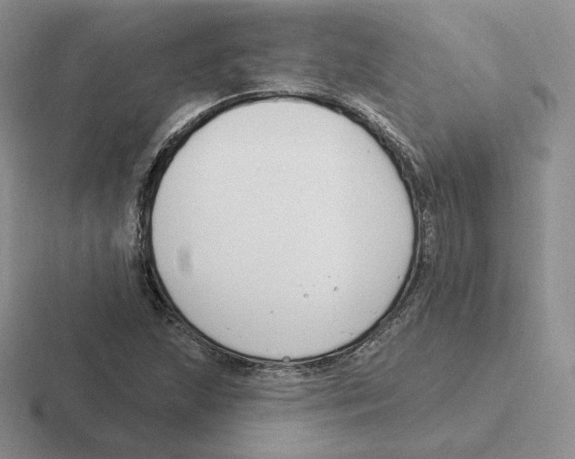 X0000116451215201001051218