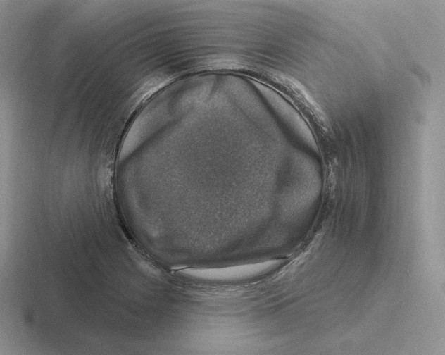 X0000116451225201001051218