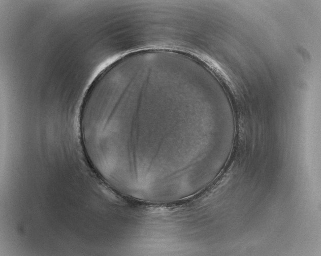 X0000116451230201001051218