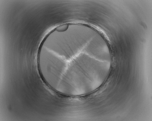 X0000116451231201001051218