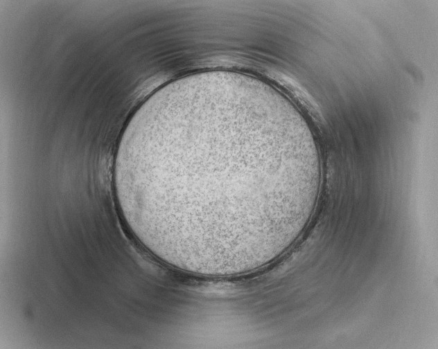 X0000116451233201001051218