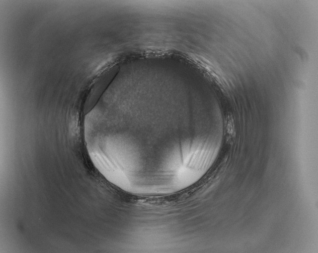 X0000116451252201001051217