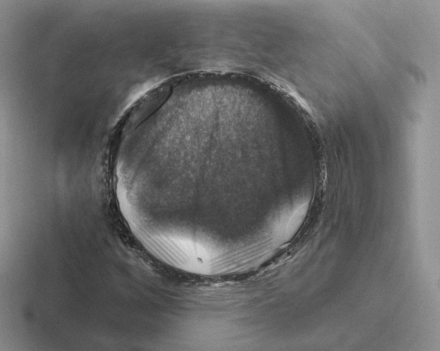 X0000116451256201001051217