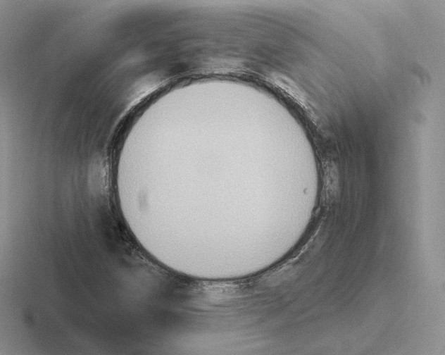 X0000116451258201001051217