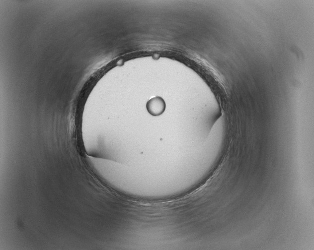 X0000116451261201001051217