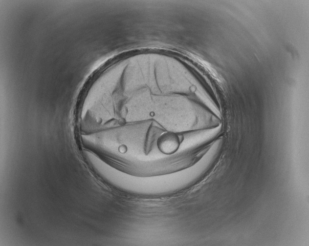 X0000116451264201001051217