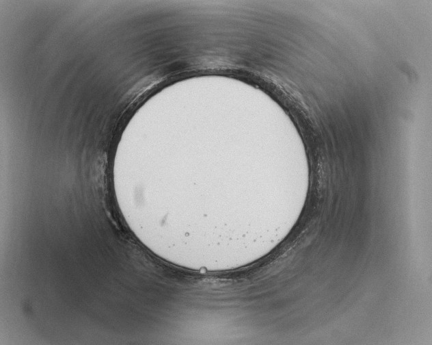 X0000116451265201001051217
