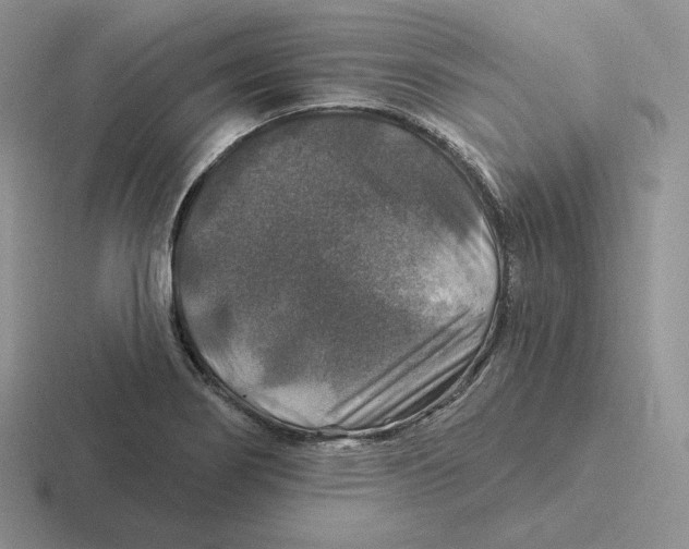 X0000116451274201001051217
