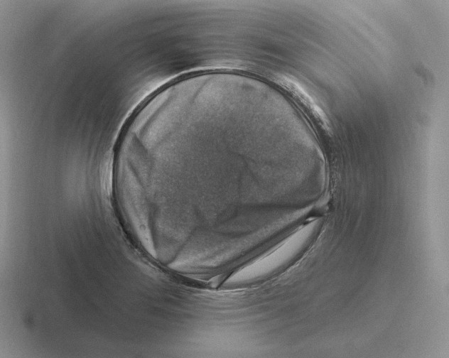 X0000116451276201001051217
