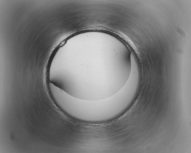X0000116451277201001051217