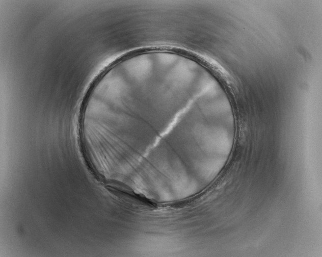 X0000116451279201001051217