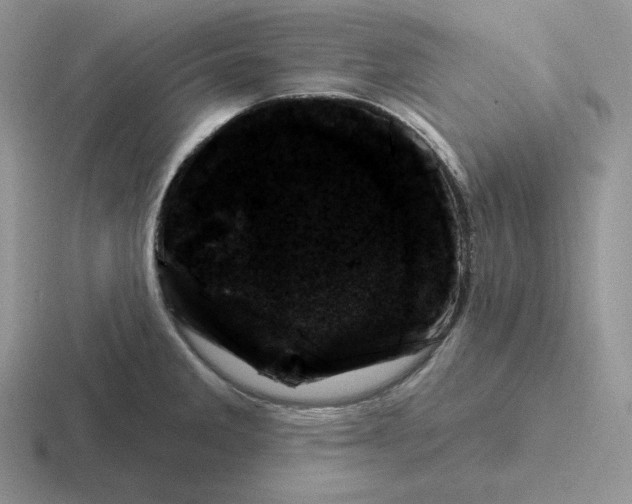 X0000116451285201001051217