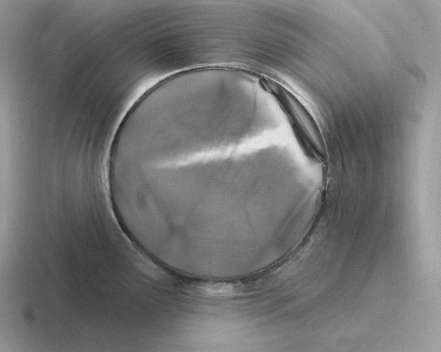 X0000116451291201001051217