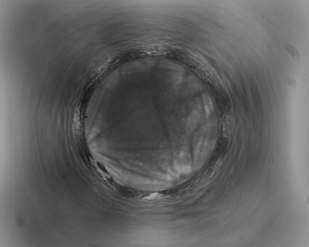 X0000116451298201001051216