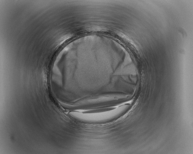 X0000116451305201001051216