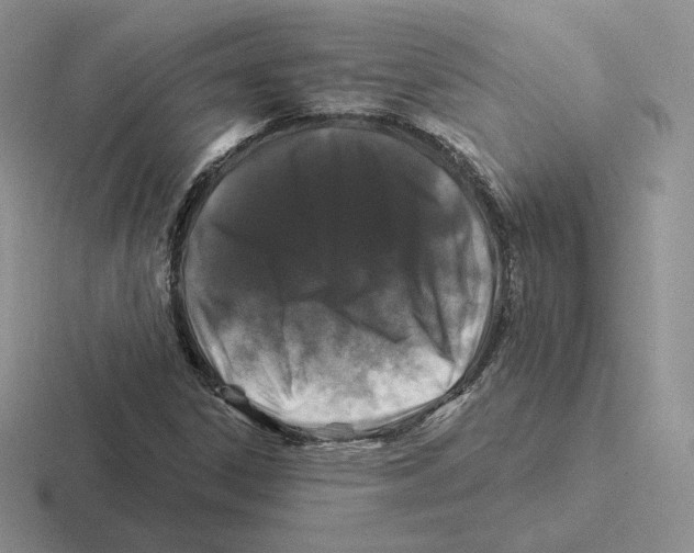 X0000116451306201001051216