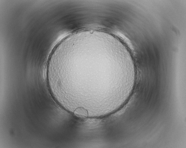 X0000116451322201001051217