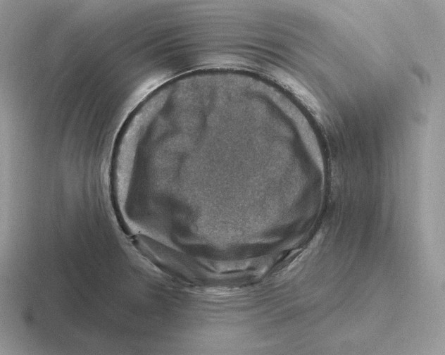 X0000116451330201001051217