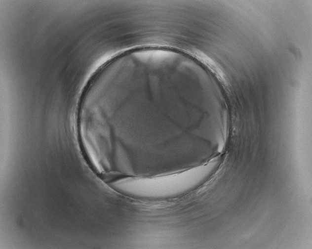 X0000116451334201001051217