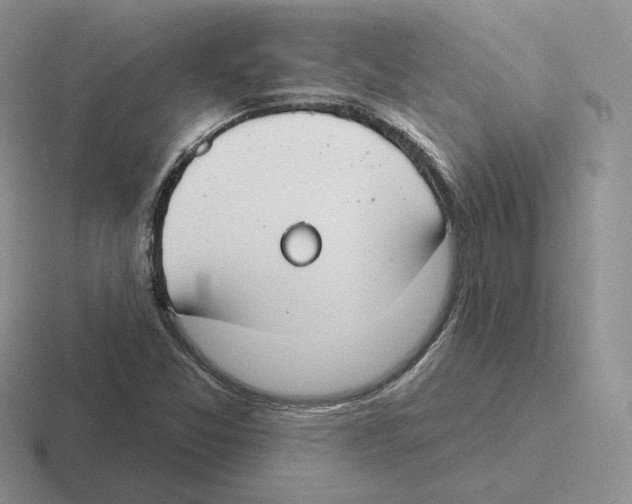 X0000116451357201001051216