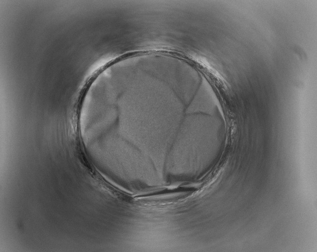 X0000116451358201001051216
