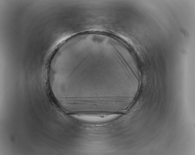 X0000116451359201001051216