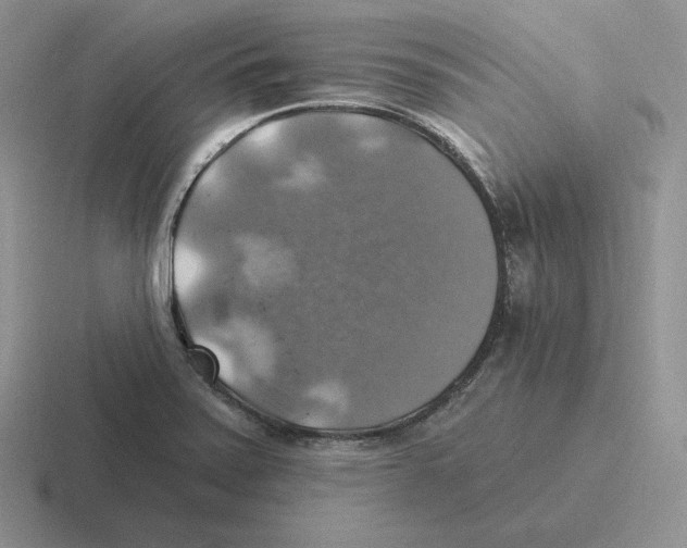 X0000116451371201001051216