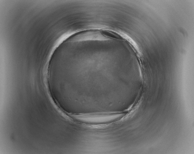 X0000116451381201001051216