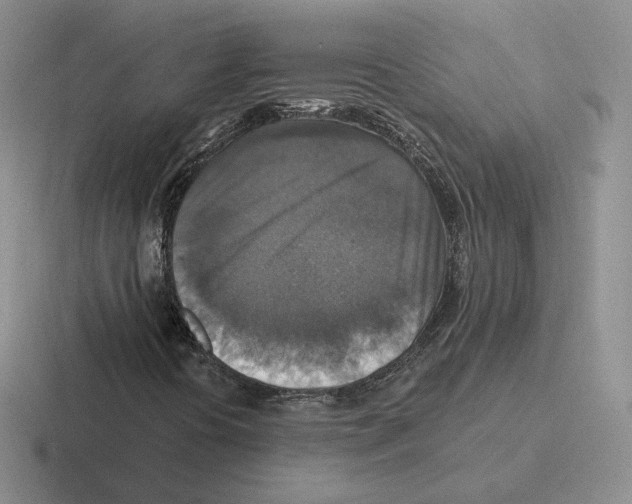 X0000116451394201001051215